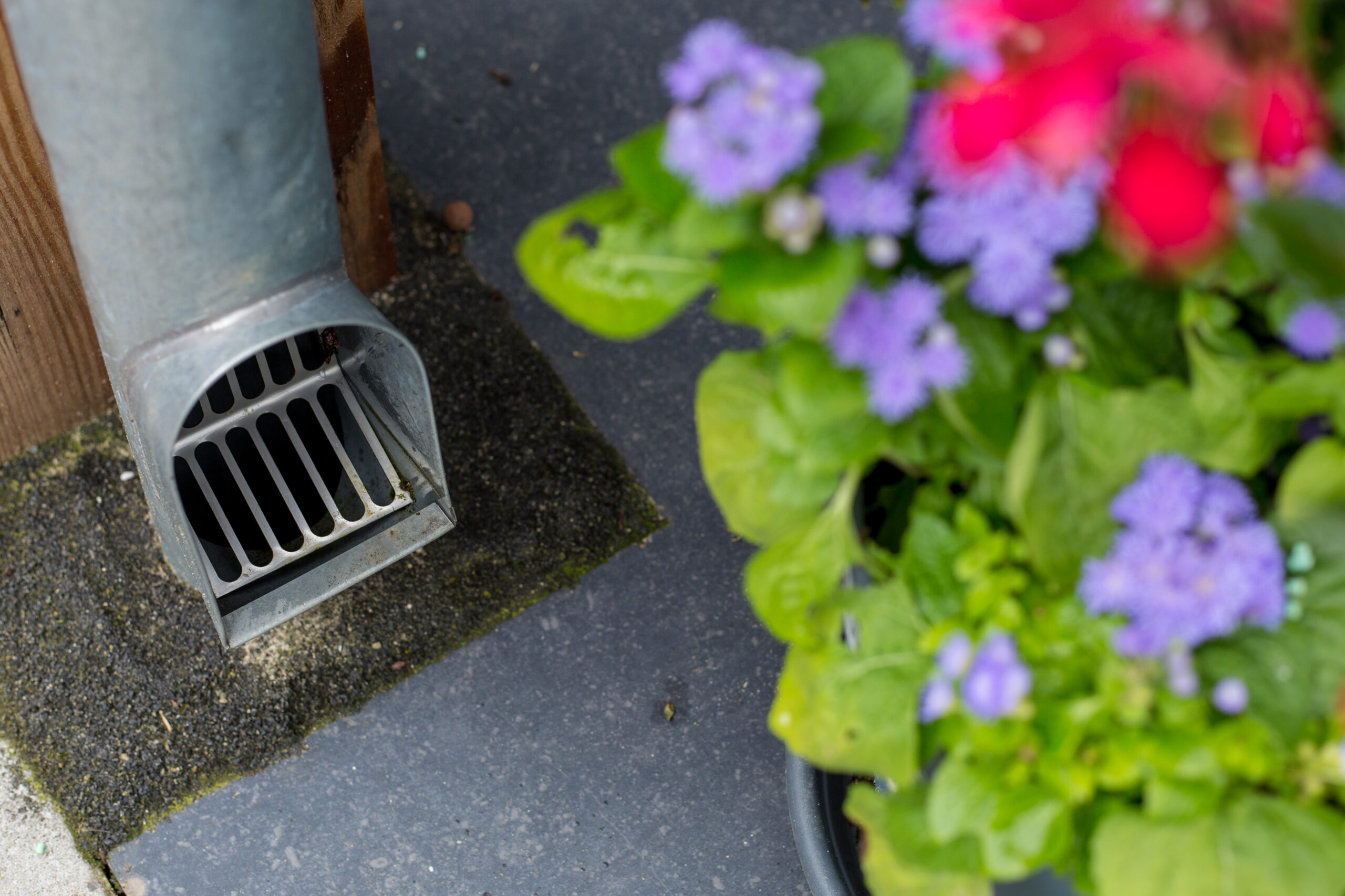 WWW_Hoensbroek Wateroverlast infiltratiekratten 2