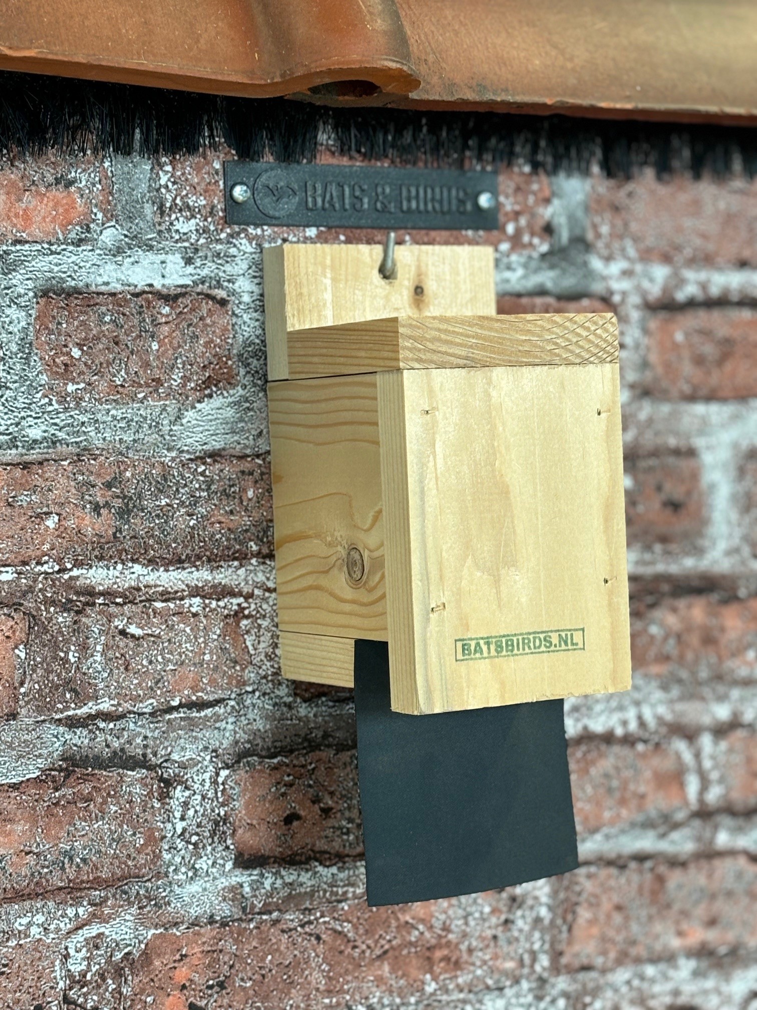 vleermuiskast
